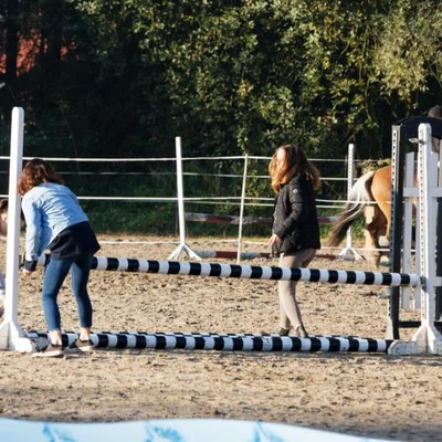 Hubertus 2019 - cz. II - konkurs skoków 70 cm (fot. Piotr Kawula)