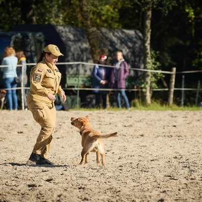 4 października 2025 r. Hubertus 2025, część 1