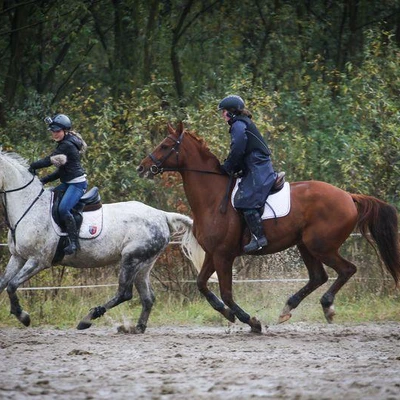 Hubertus 2017 - cz. 1 (Fot. Patrycja Dawid)