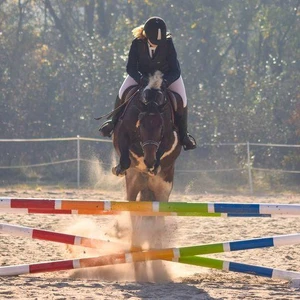 Hubertus 2018 - cz. I (Fot. Anita Daniec)