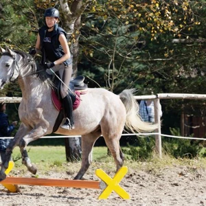 Hubertus 2019 - cz. IV - konkurs podskoków 20 cm (fot. Piotr Kawula)