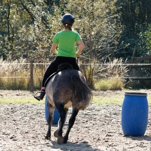 Hubertus 2019 - cz. IV - konkurs podskoków 20 cm (fot. Piotr Kawula)