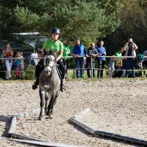 Hubertus 2019 - cz. IV - konkurs podskoków 20 cm (fot. Piotr Kawula)