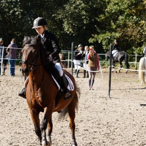 Hubertus 2019 - cz. III - konkurs skoków 50 cm (fot. Piotr Kawula)