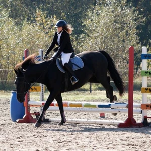 Hubertus 2019 - cz. III - konkurs skoków 50 cm (fot. Piotr Kawula)