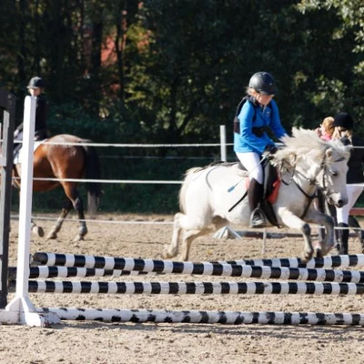 Hubertus 2019 - cz. III - konkurs skoków 50 cm (fot. Piotr Kawula)