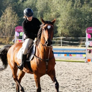 Hubertus 2019 - cz. II - konkurs skoków 70 cm (fot. Piotr Kawula)