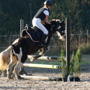 Hubertus 2019 - cz. II - konkurs skoków 70 cm (fot. Piotr Kawula)