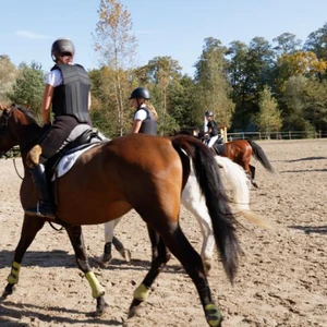 Hubertus 2019 - cz. VII - pogoń za lisem o puchar Dziekana (fot. Piotr Kawula)