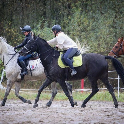 Hubertus 2017 - cz. 1 (Fot. Patrycja Dawid)