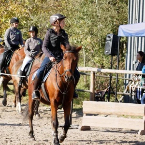 Hubertus 2019 - cz. III - konkurs skoków 50 cm (fot. Piotr Kawula)