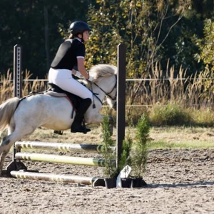 Hubertus 2019 - cz. III - konkurs skoków 50 cm (fot. Piotr Kawula)