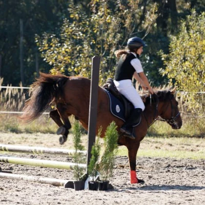 Hubertus 2019 - cz. III - konkurs skoków 50 cm (fot. Piotr Kawula)