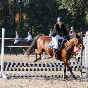 Hubertus 2019 - cz. III - konkurs skoków 50 cm (fot. Piotr Kawula)