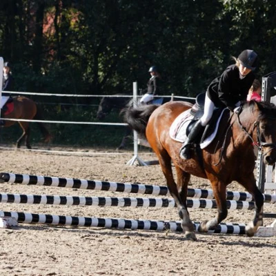 Hubertus 2019 - cz. III - konkurs skoków 50 cm (fot. Piotr Kawula)