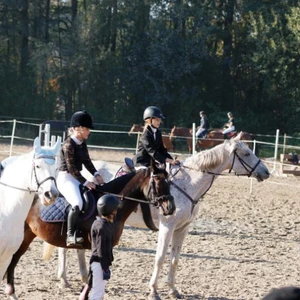 Hubertus 2019 - cz. II - konkurs skoków 70 cm (fot. Piotr Kawula)