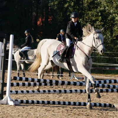 Hubertus 2019 - cz. II - konkurs skoków 70 cm (fot. Piotr Kawula)