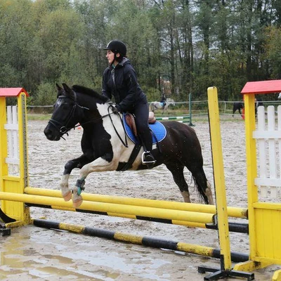 Hubertus 2017 - cz. 2 (Fot. Joanna Wypiór)