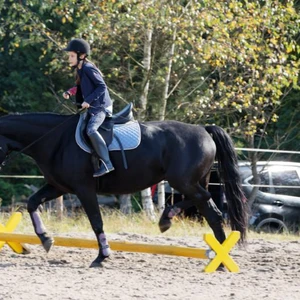 Hubertus 2019 - cz. IV - konkurs podskoków 20 cm (fot. Piotr Kawula)