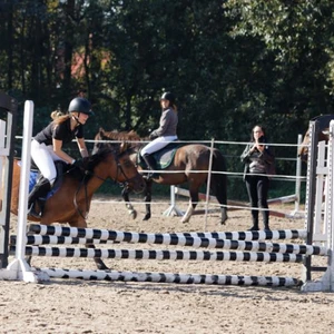 Hubertus 2019 - cz. III - konkurs skoków 50 cm (fot. Piotr Kawula)