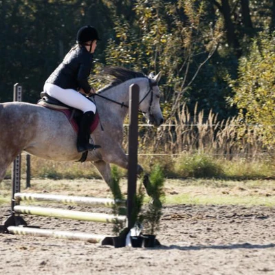 Hubertus 2019 - cz. III - konkurs skoków 50 cm (fot. Piotr Kawula)