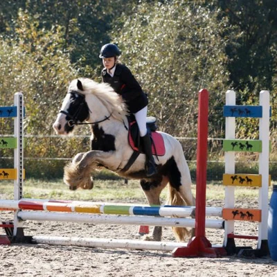 Hubertus 2019 - cz. III - konkurs skoków 50 cm (fot. Piotr Kawula)