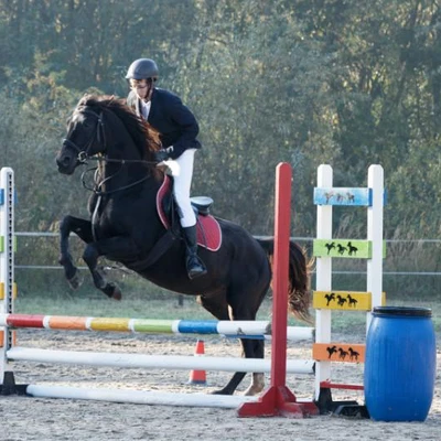 Hubertus 2019 - cz. II - konkurs skoków 70 cm (fot. Piotr Kawula)