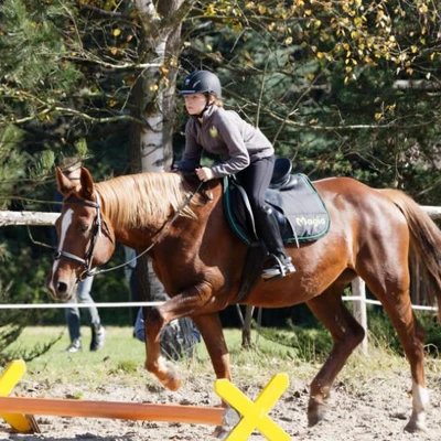 Hubertus 2019 - cz. IV - konkurs podskoków 20 cm (fot. Piotr Kawula)