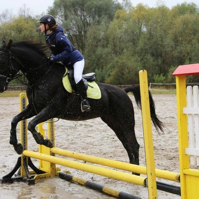 Hubertus 2017 - cz. 2 (Fot. Joanna Wypiór)