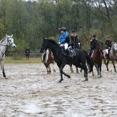 Hubertus 2017 - cz. 2 (Fot. Joanna Wypiór)