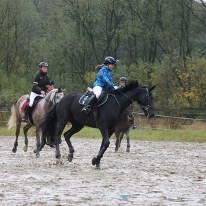 Hubertus 2017 - cz. 2 (Fot. Joanna Wypiór)