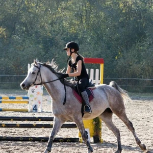 Hubertus 2019 - cz. III - konkurs skoków 50 cm (fot. Piotr Kawula)