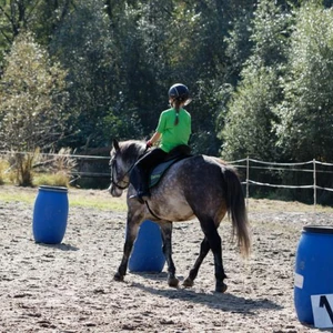 Hubertus 2019 - cz. IV - konkurs podskoków 20 cm (fot. Piotr Kawula)