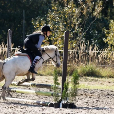 Hubertus 2019 - cz. III - konkurs skoków 50 cm (fot. Piotr Kawula)