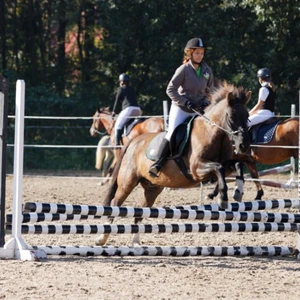 Hubertus 2019 - cz. III - konkurs skoków 50 cm (fot. Piotr Kawula)