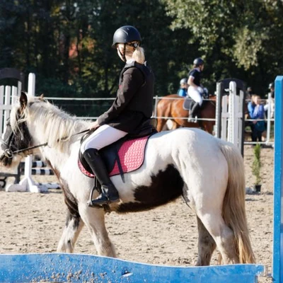 Hubertus 2019 - cz. III - konkurs skoków 50 cm (fot. Piotr Kawula)