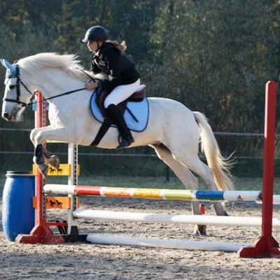 Hubertus 2019 - cz. II - konkurs skoków 70 cm (fot. Piotr Kawula)