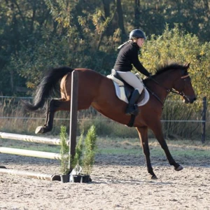 Hubertus 2019 - cz. II - konkurs skoków 70 cm (fot. Piotr Kawula)