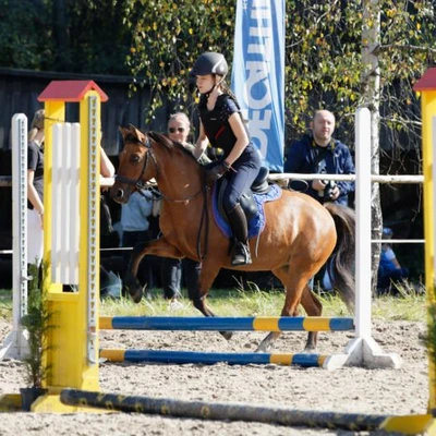 Hubertus 2019 - cz. IV - konkurs podskoków 20 cm (fot. Piotr Kawula)