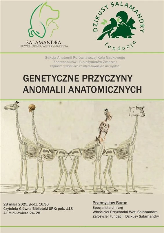 Plakat wykładu 