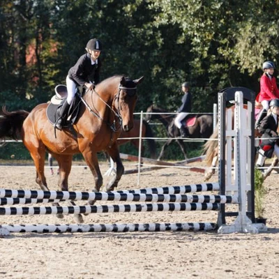 Hubertus 2019 - cz. III - konkurs skoków 50 cm (fot. Piotr Kawula)