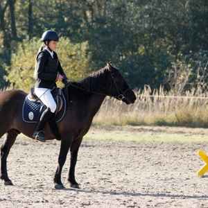 Hubertus 2019 - cz. III - konkurs skoków 50 cm (fot. Piotr Kawula)