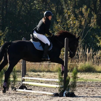 Hubertus 2019 - cz. III - konkurs skoków 50 cm (fot. Piotr Kawula)