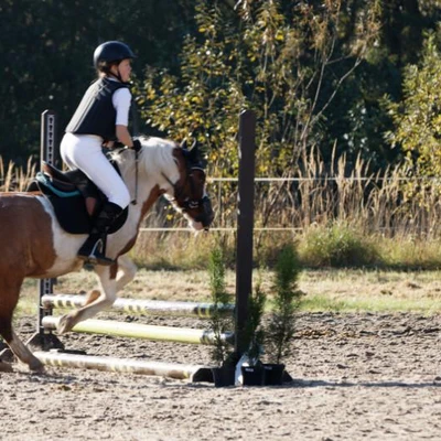 Hubertus 2019 - cz. III - konkurs skoków 50 cm (fot. Piotr Kawula)