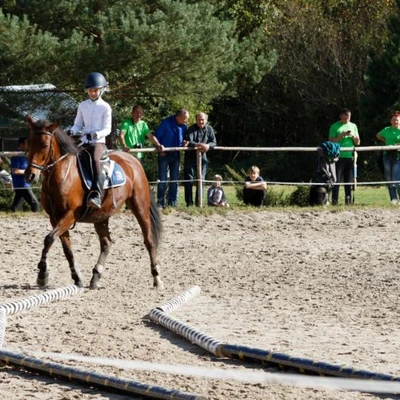 Hubertus 2019 - cz. IV - konkurs podskoków 20 cm (fot. Piotr Kawula)