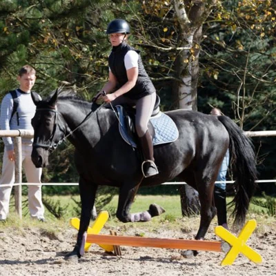 Hubertus 2019 - cz. IV - konkurs podskoków 20 cm (fot. Piotr Kawula)