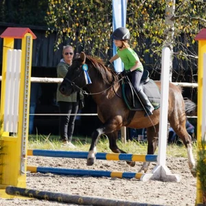 Hubertus 2019 - cz. IV - konkurs podskoków 20 cm (fot. Piotr Kawula)