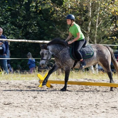 Hubertus 2019 - cz. IV - konkurs podskoków 20 cm (fot. Piotr Kawula)