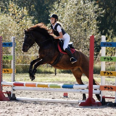 Hubertus 2019 - cz. III - konkurs skoków 50 cm (fot. Piotr Kawula)