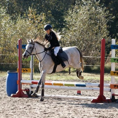 Hubertus 2019 - cz. III - konkurs skoków 50 cm (fot. Piotr Kawula)